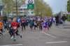 photo665_small.jpg