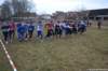 photo331_small.jpg