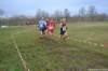 photo148_small.jpg