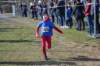 photo92_small.jpg