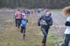 photo177_small.jpg