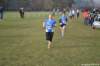photo808_small.jpg