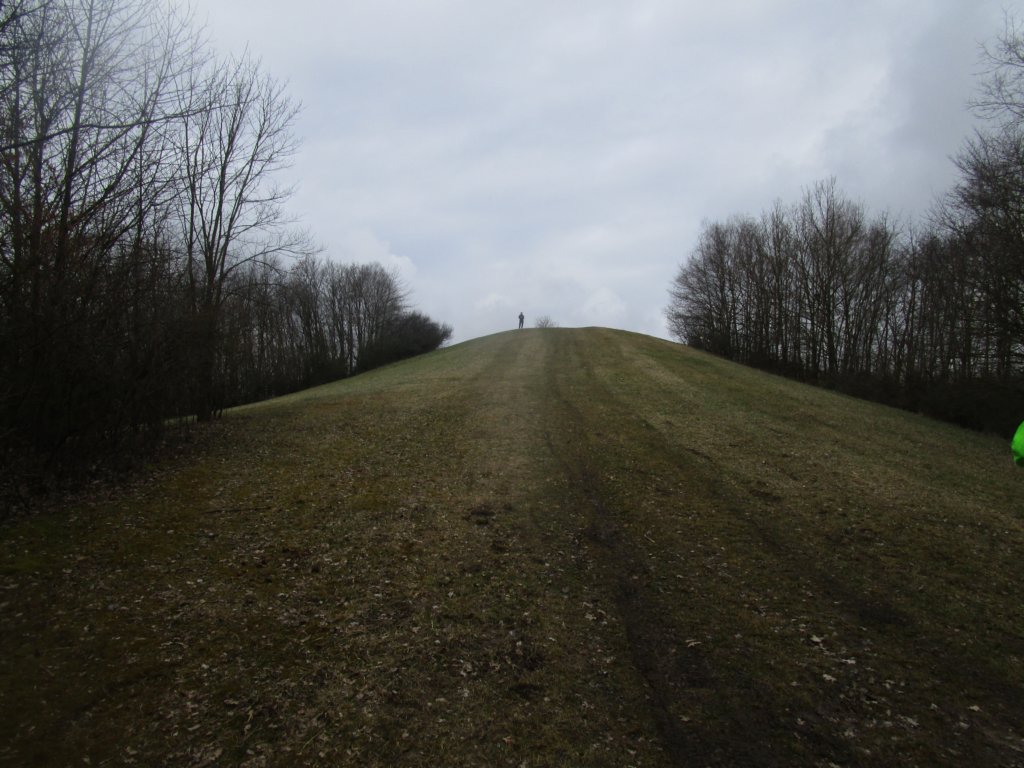 photo35.jpg