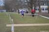 photo378_small.jpg