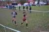 photo718_small.jpg