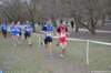 photo543_small.jpg