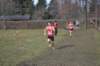 photo348_small.jpg