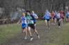 photo358_small.jpg
