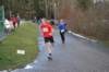 photo257_small.jpg