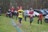 photo231_small.jpg