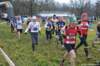 photo136_small.jpg