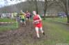 photo311_small.jpg