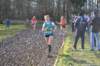 photo291_small.jpg