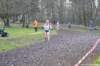 photo313_small.jpg