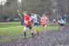 photo426_small.jpg