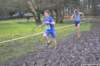 photo439_small.jpg