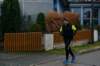 kp85_0571_1k_small.jpg